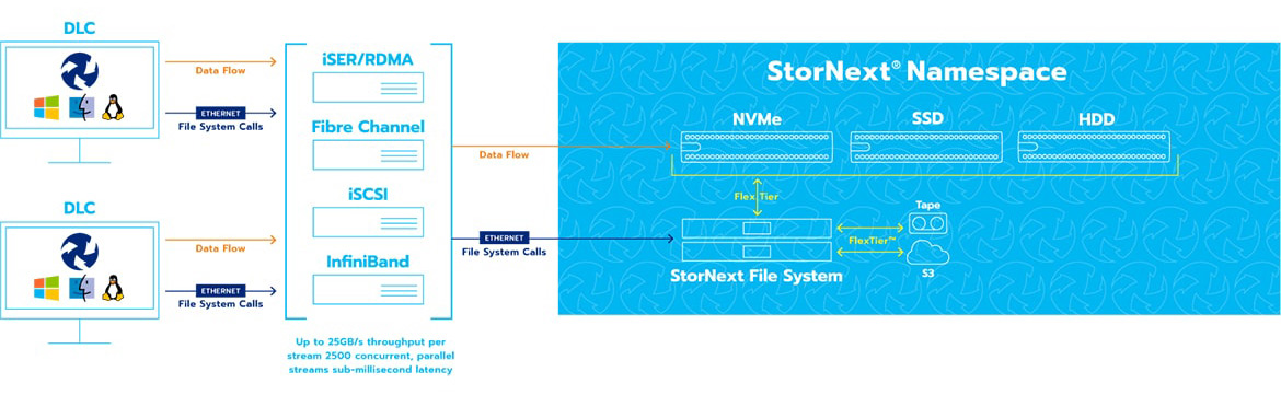 Quantum-Stornext-Diagram