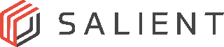 salient_systems